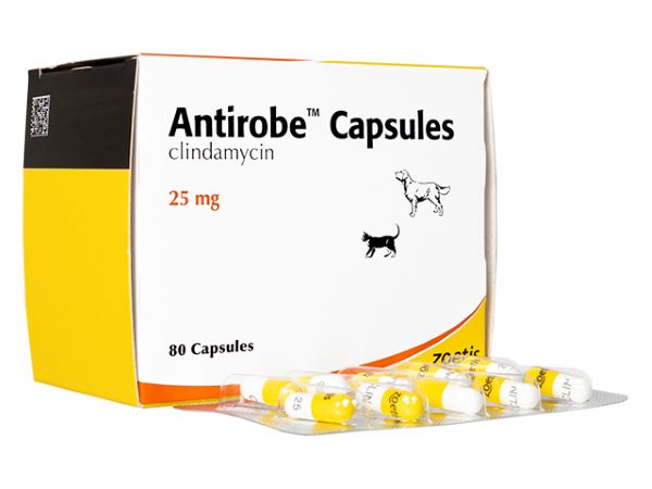 Antirobe(アンチローブ)