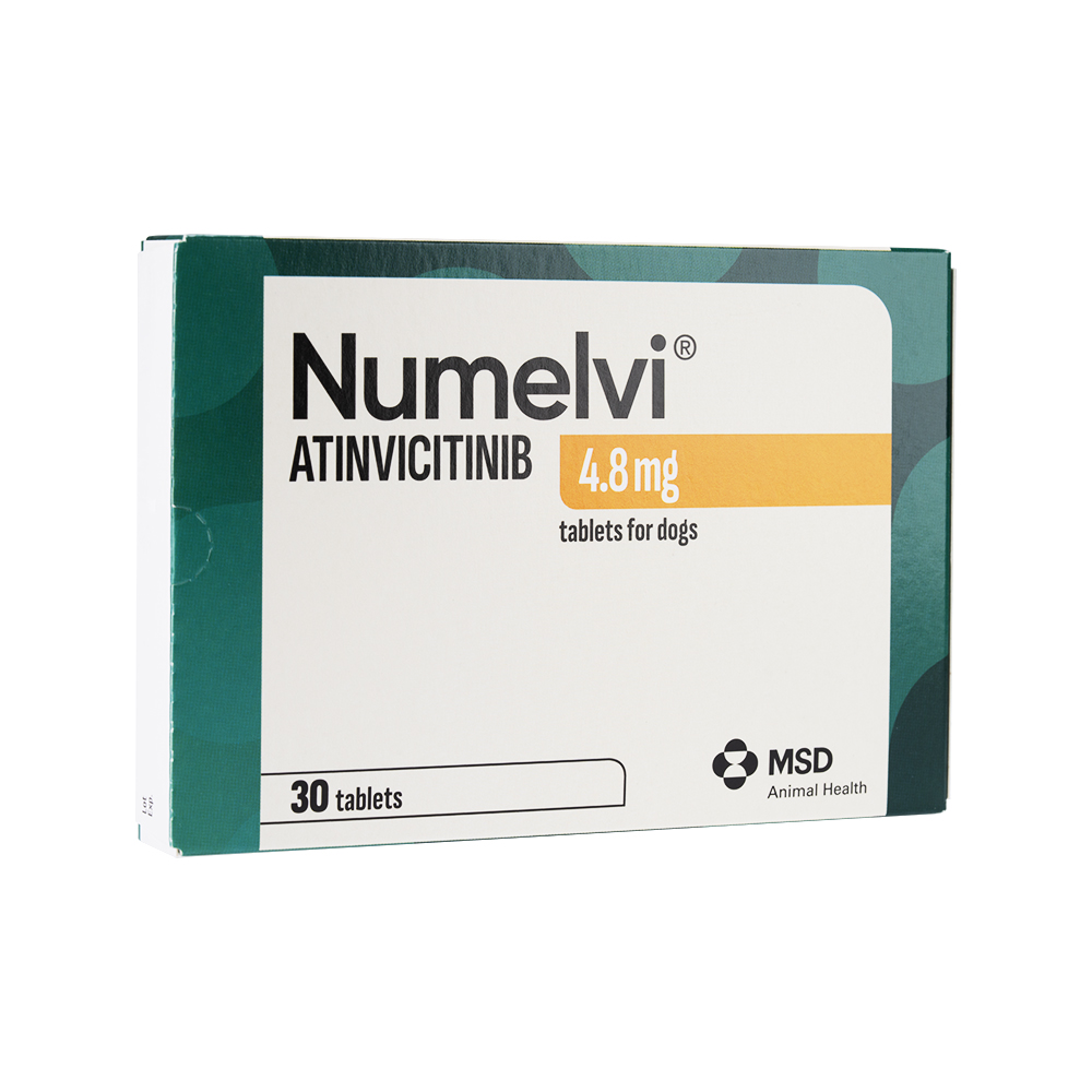 Numelvi(ヌメルビ)